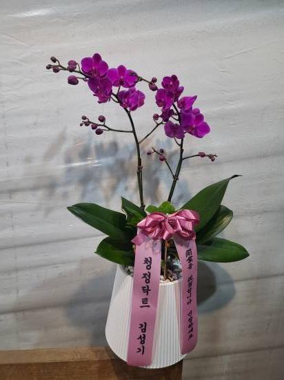 업로드 이미지