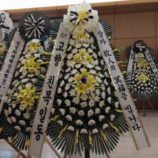 업로드 이미지