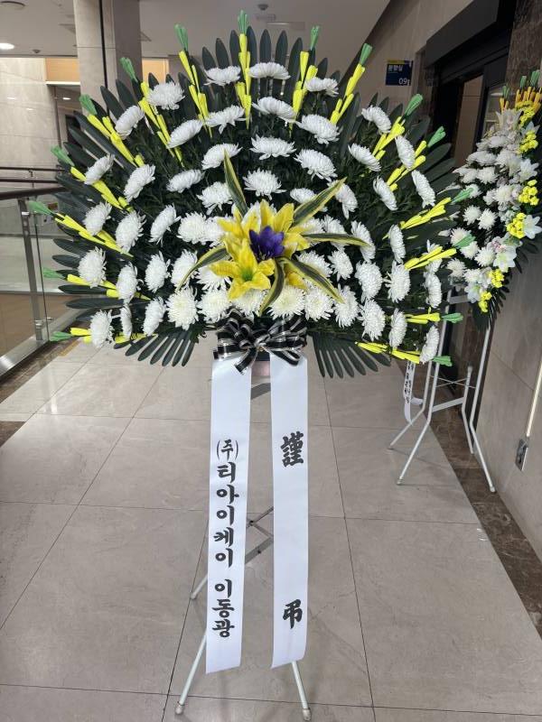 업로드 이미지