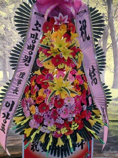 업로드 이미지