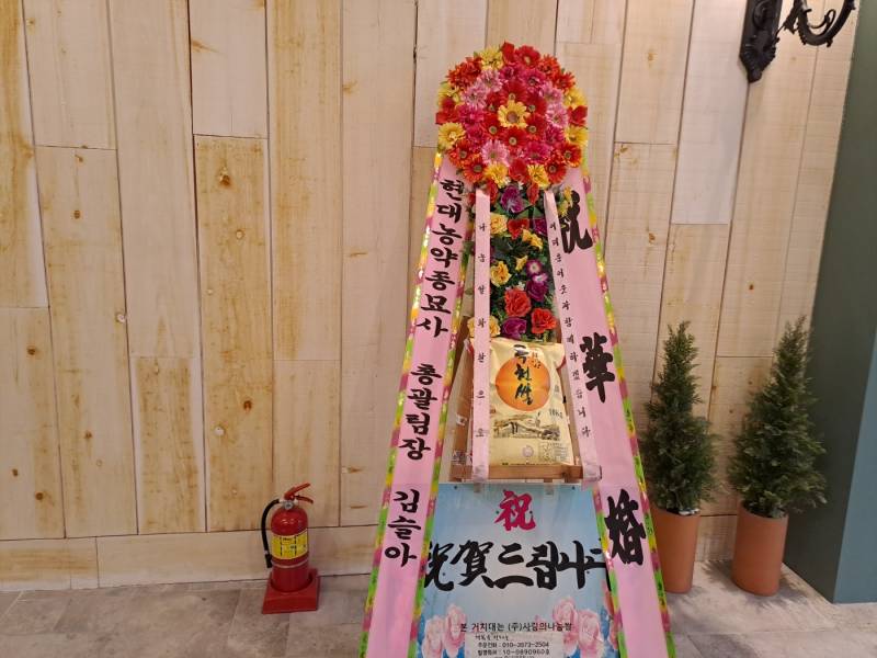 업로드 이미지