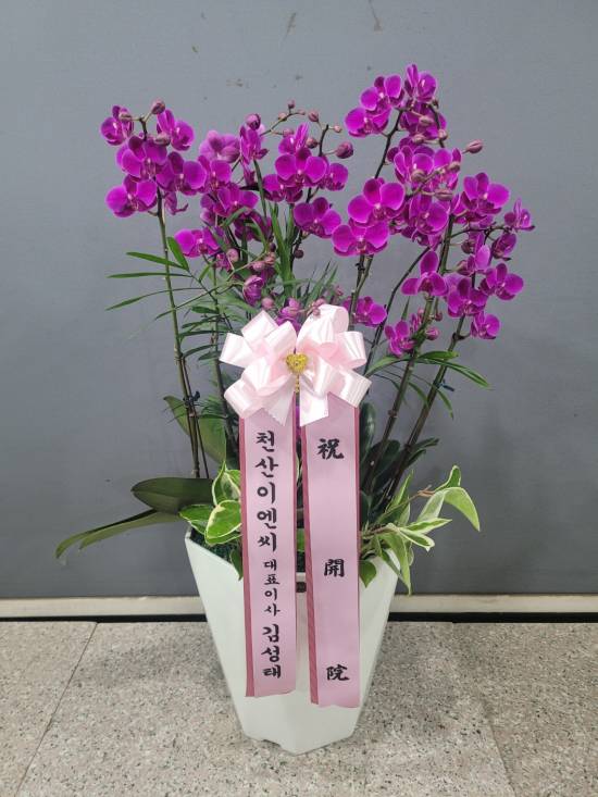 업로드 이미지