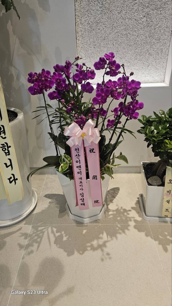 업로드 이미지