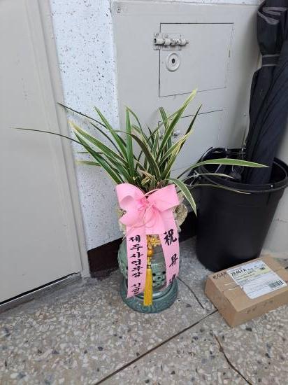 업로드 이미지
