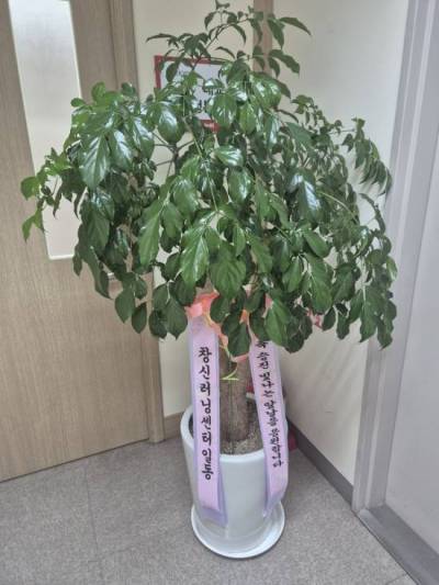 배송사진