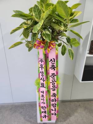 배송사진