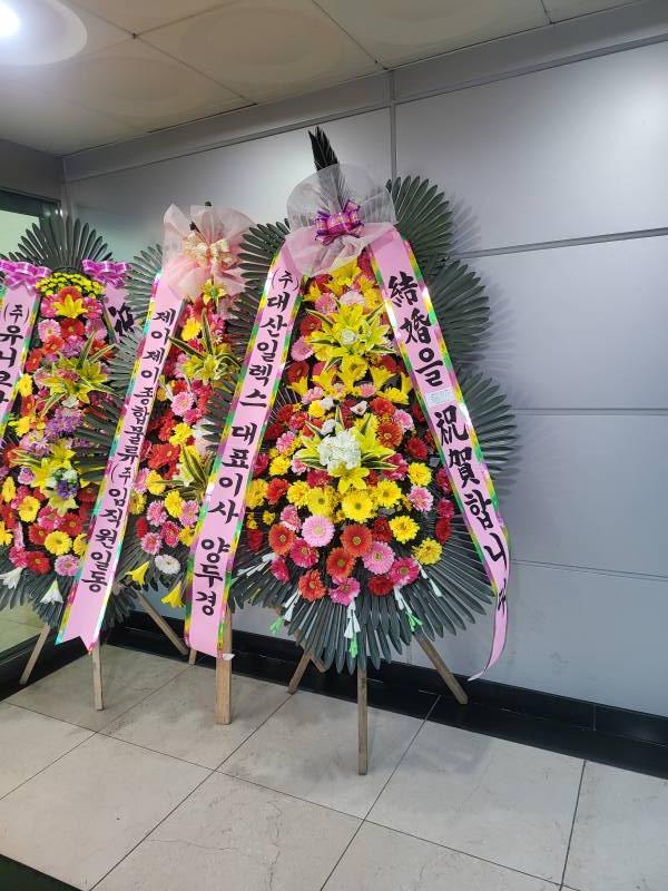 업로드 이미지