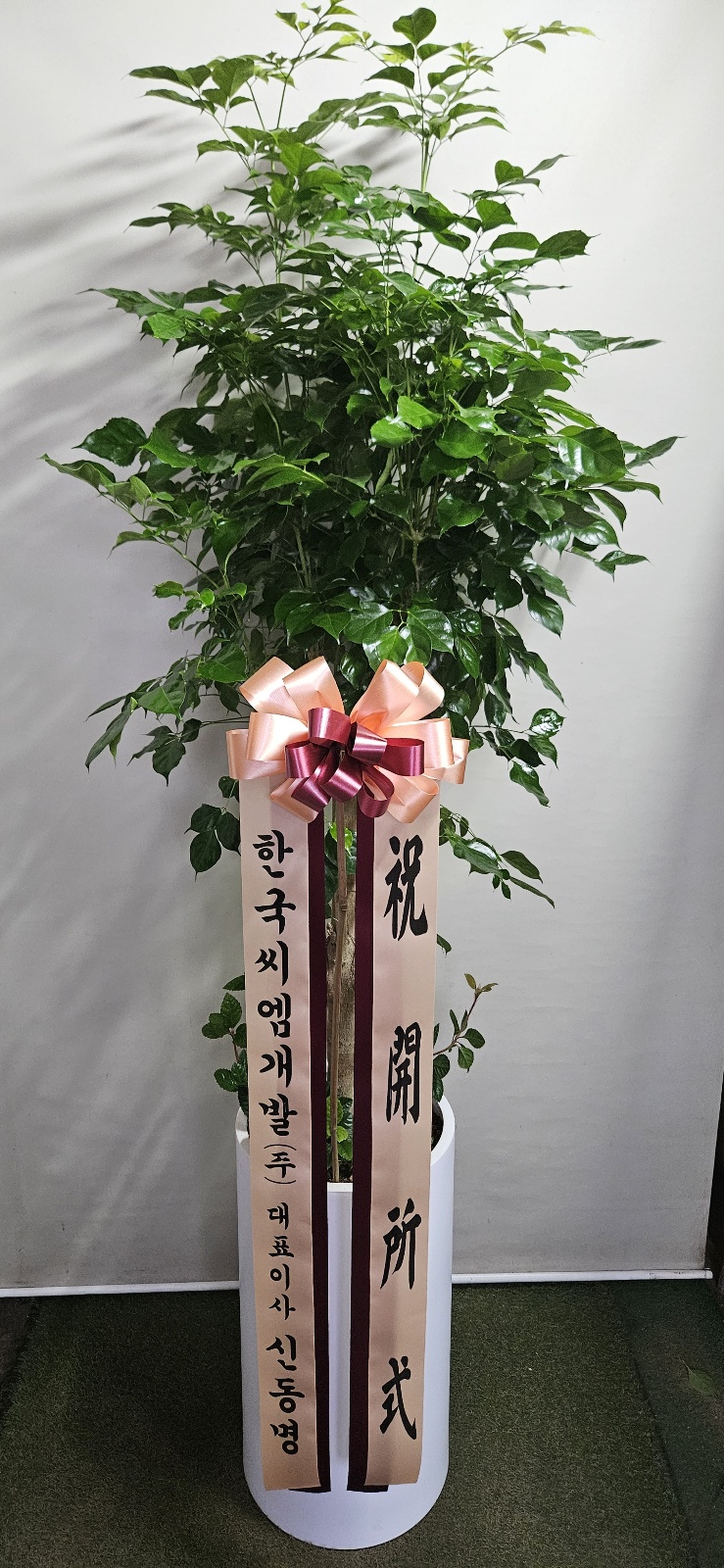 업로드 이미지
