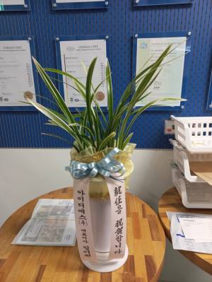 배송사진