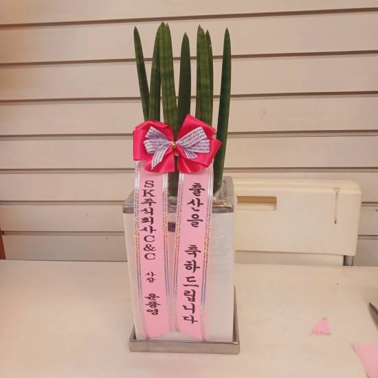 업로드 이미지