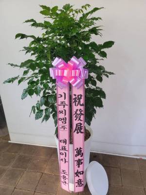 배송사진