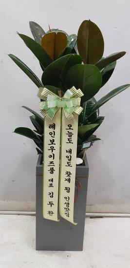 업로드 이미지