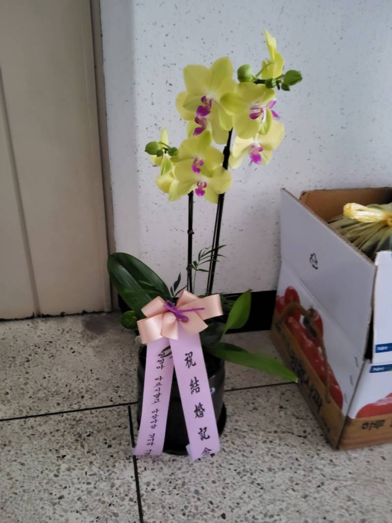 업로드 이미지