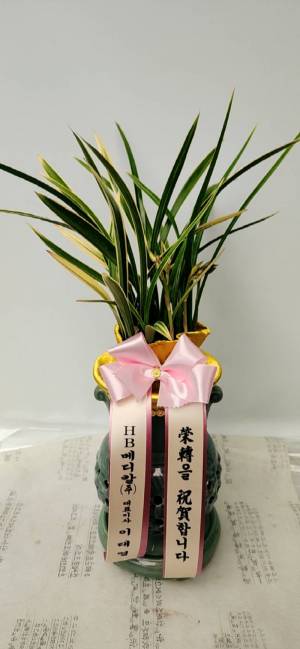 배송사진