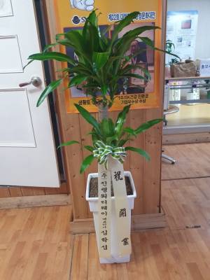 배송사진