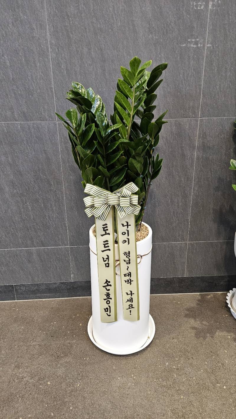 업로드 이미지