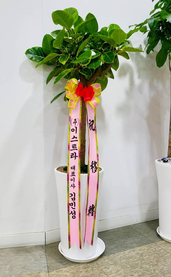 업로드 이미지