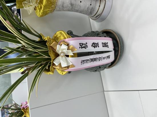 업로드 이미지