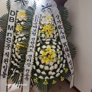 배송사진