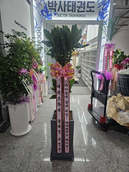 업로드 이미지