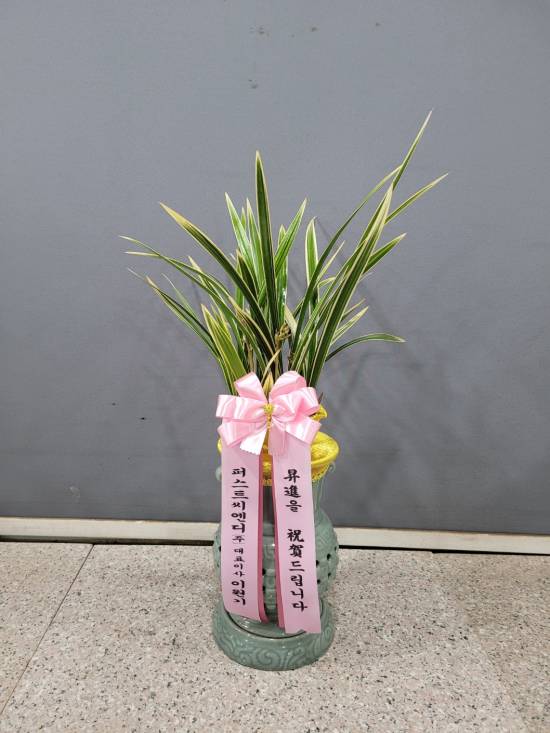 업로드 이미지