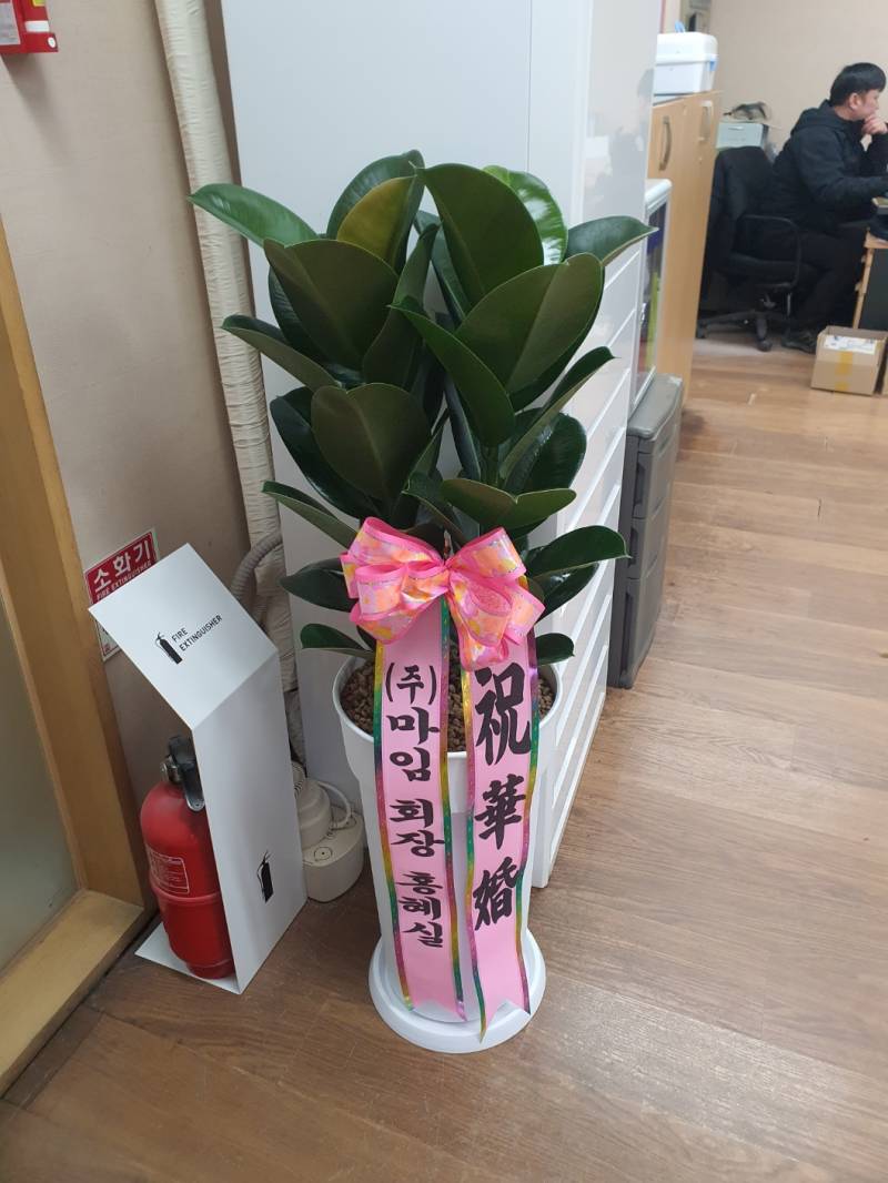 업로드 이미지