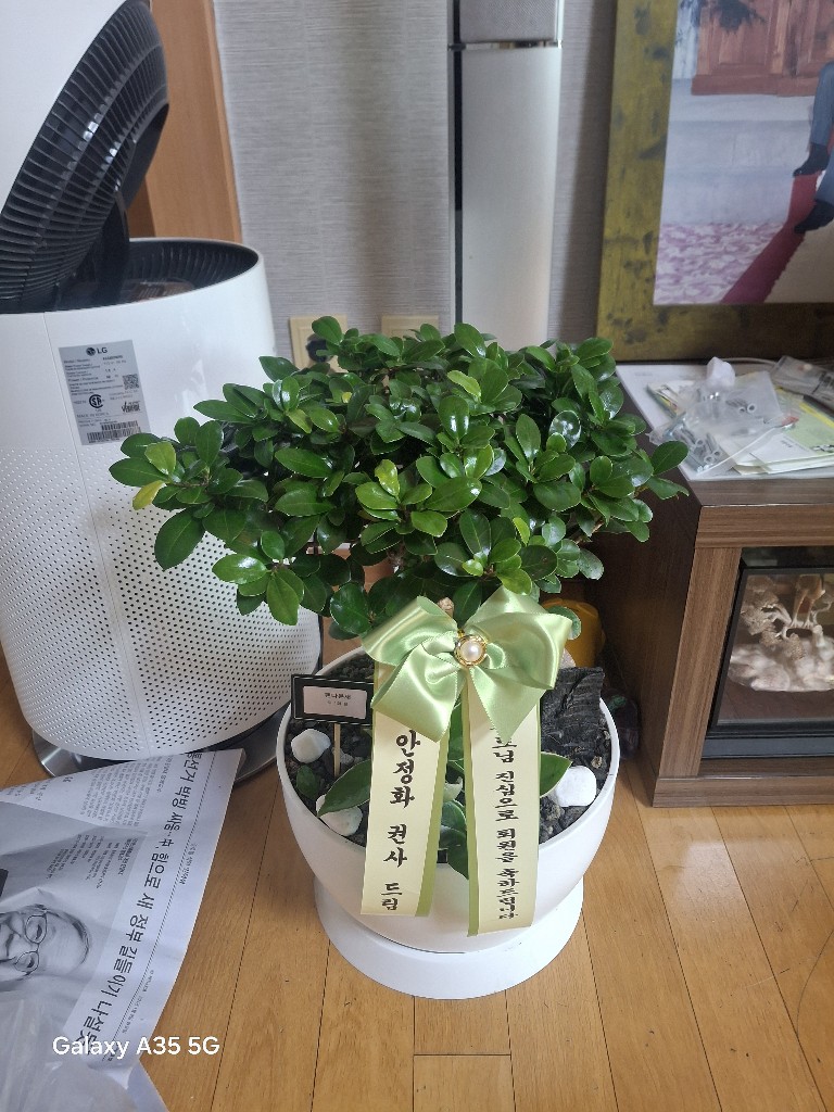 업로드 이미지