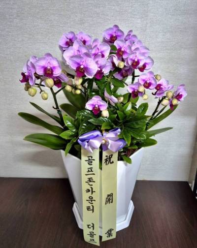 배송사진