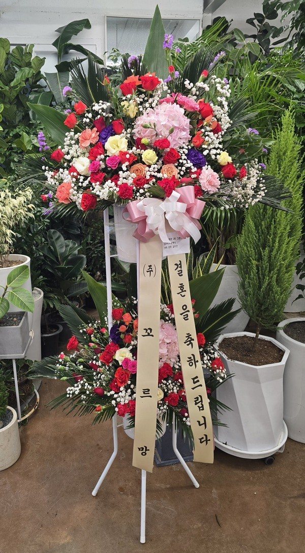 업로드 이미지