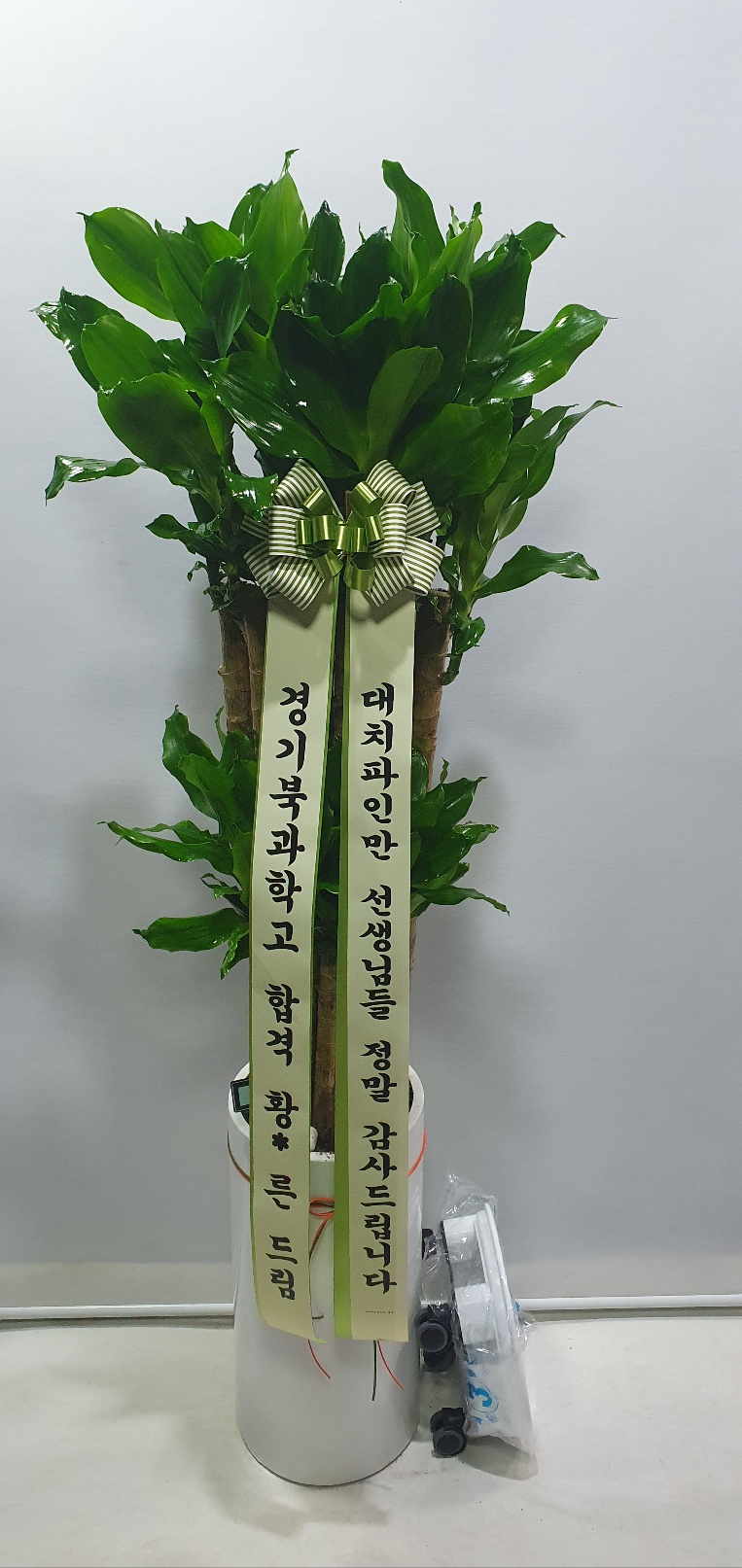 업로드 이미지
