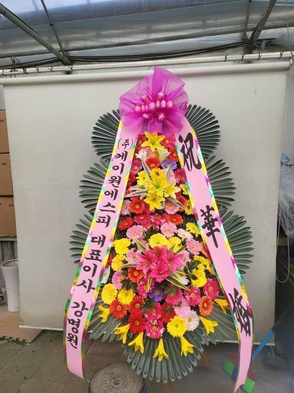 업로드 이미지