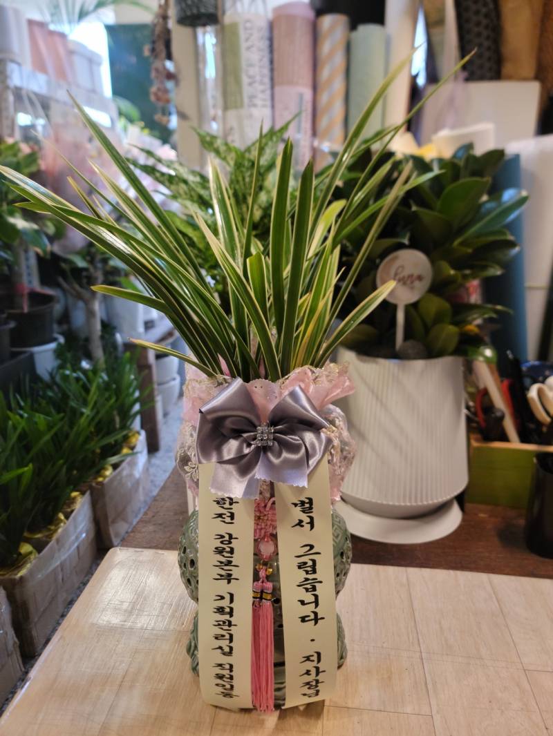 업로드 이미지
