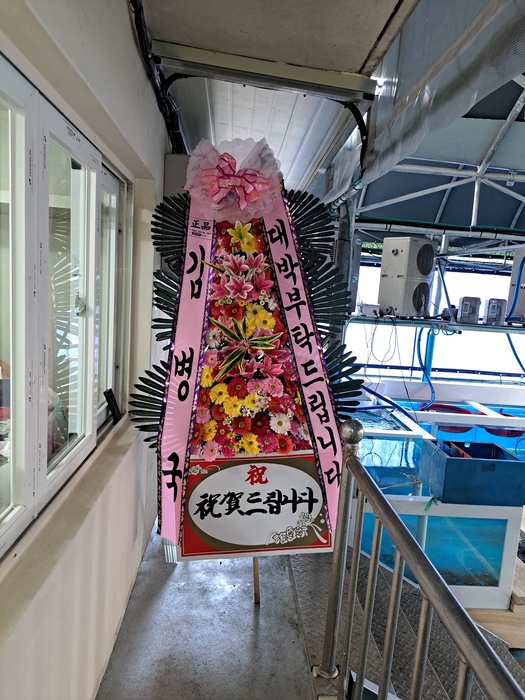 업로드 이미지