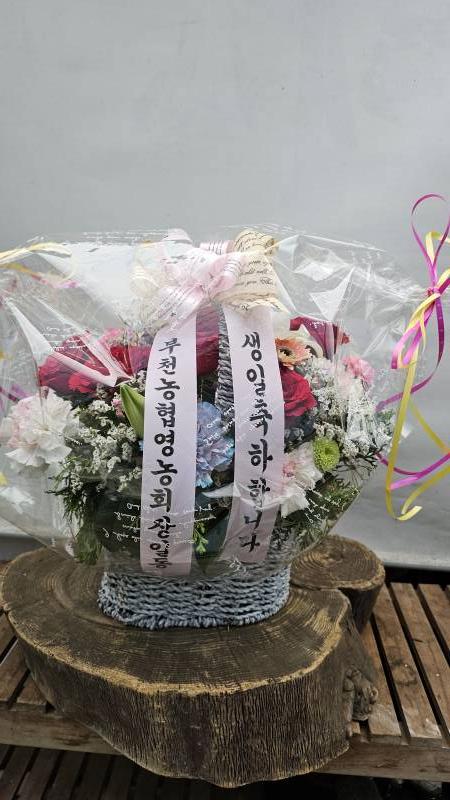 업로드 이미지