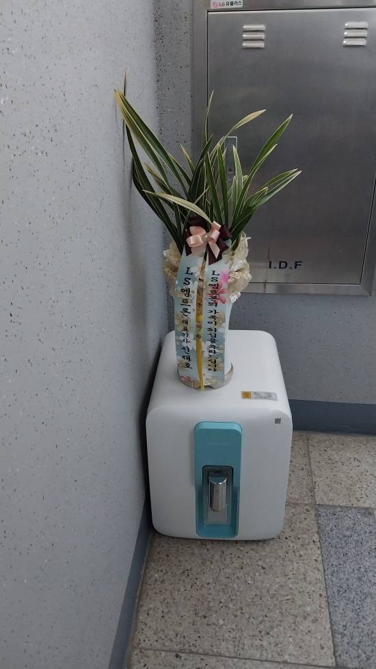 업로드 이미지