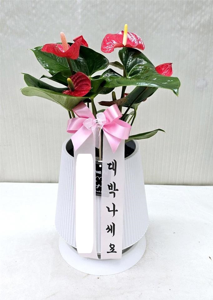 업로드 이미지