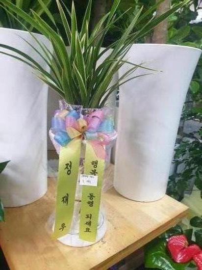 업로드 이미지