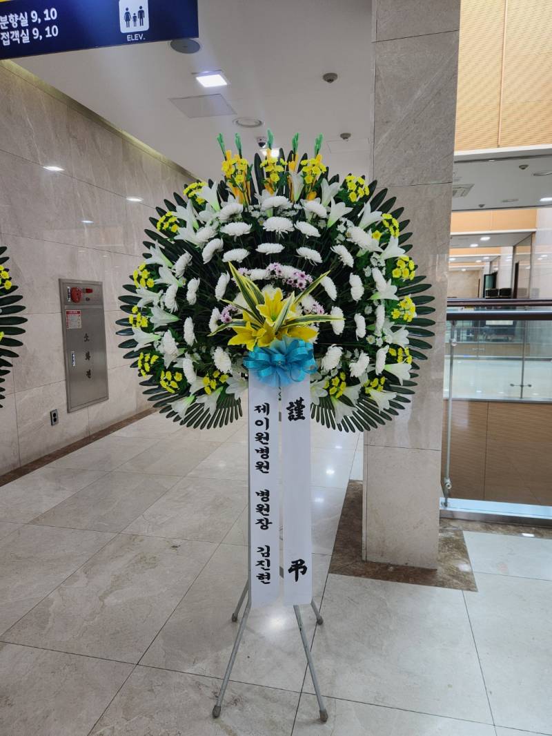 업로드 이미지
