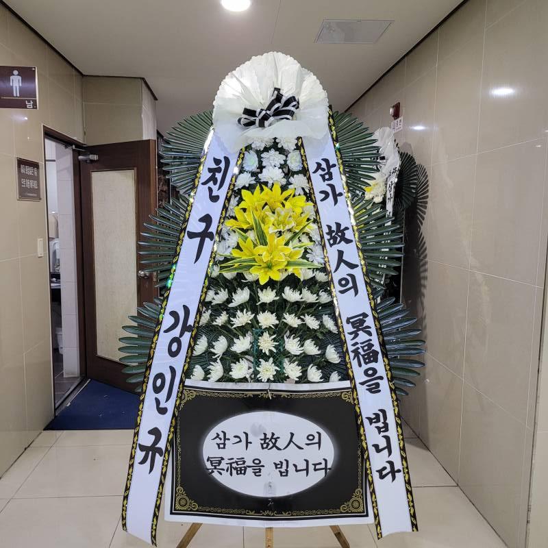 업로드 이미지