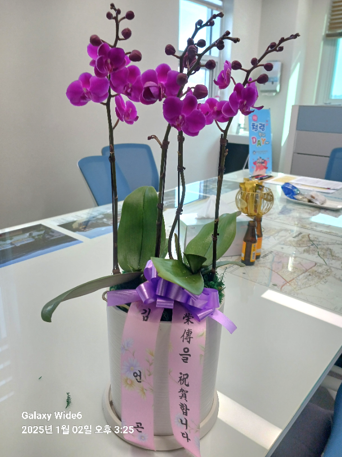 업로드 이미지