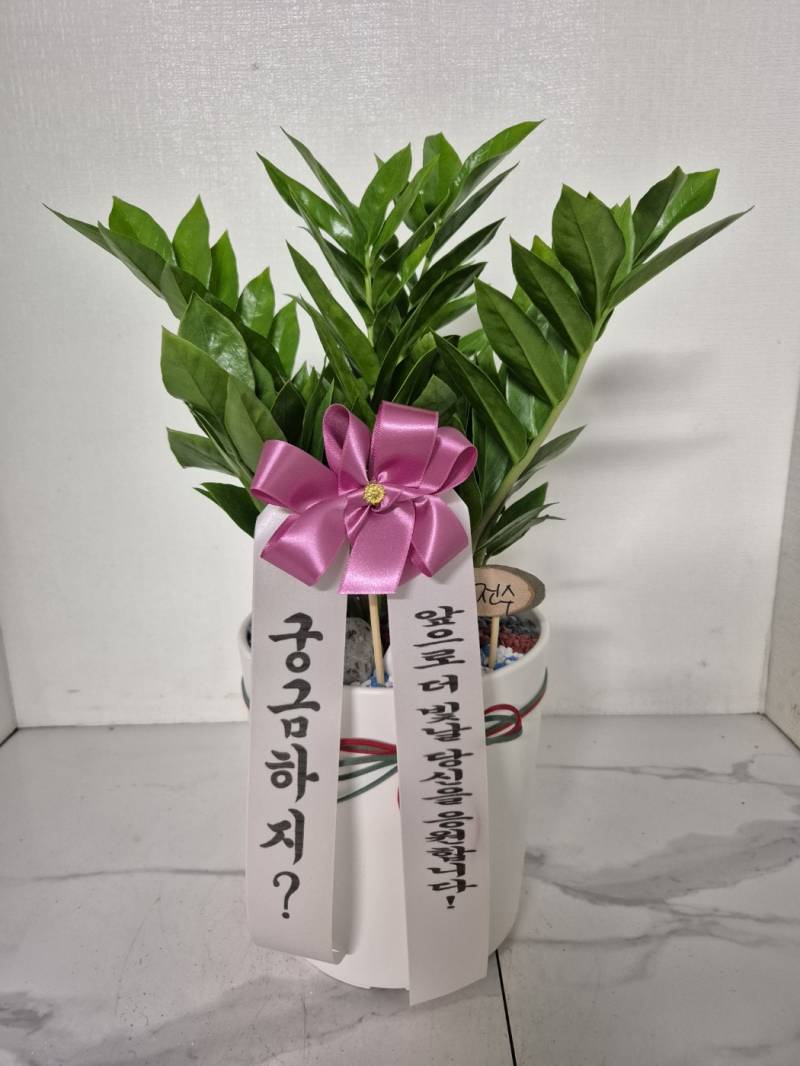 업로드 이미지