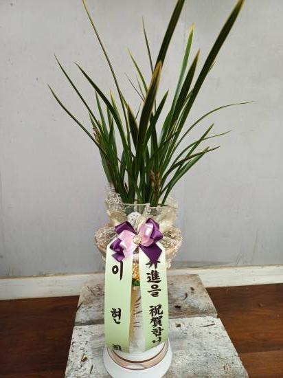 업로드 이미지