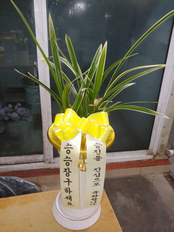 업로드 이미지