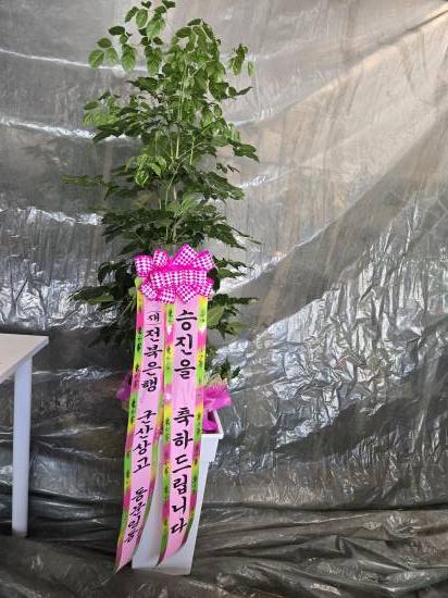업로드 이미지