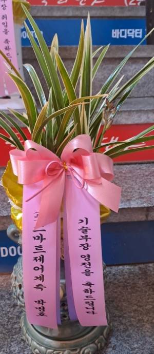 배송사진