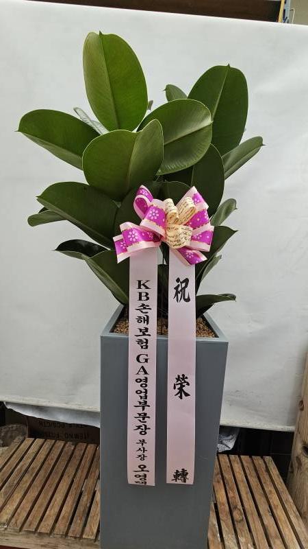 업로드 이미지