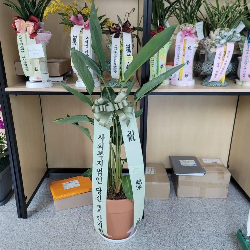 업로드 이미지