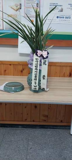 업로드 이미지