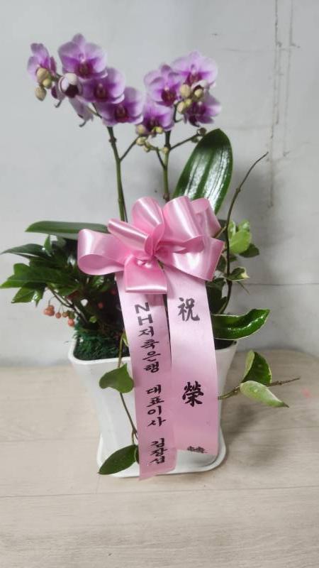 업로드 이미지