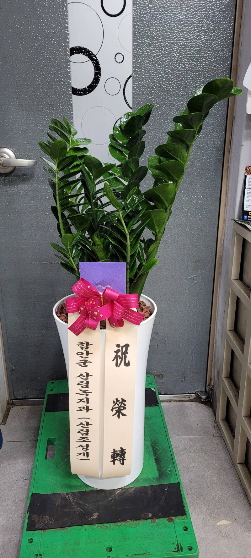 업로드 이미지